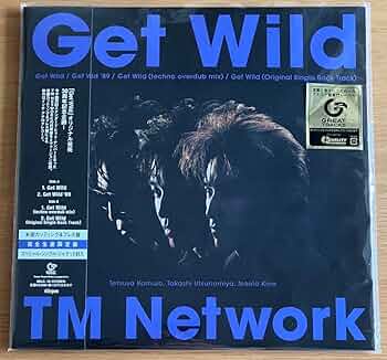 Get Wild　限定盤　レコード　45回転　　　　　　　　TM NETWORK Get Wild 限定盤 レコード 45回転 TM NETWORK